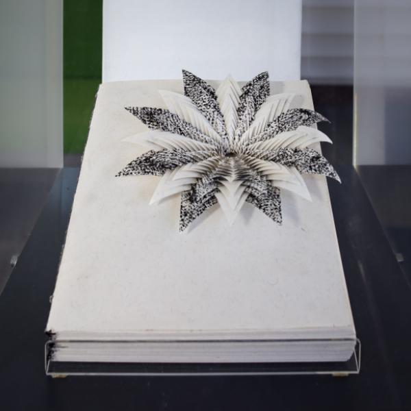 Eight Folds to Contentment