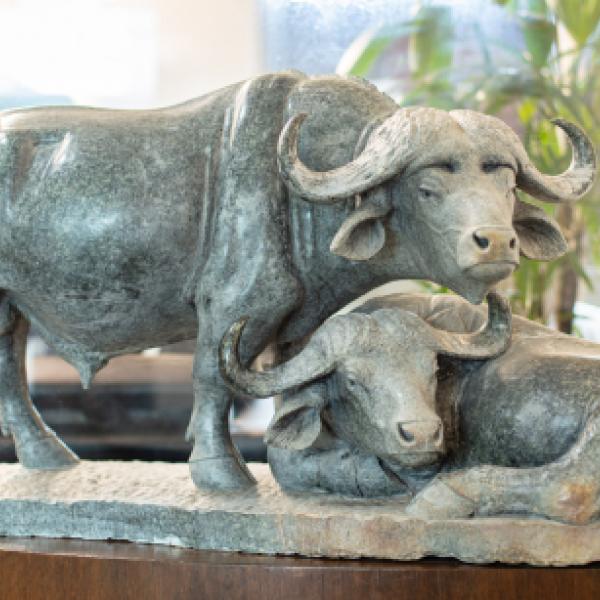 Untitled (Two Buffaloes)